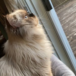 Meet your Posher, Katia